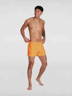 шорты пляжные мужские для бассейна плавательные SPEEDO