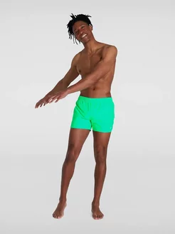 шорты пляжные мужские для бассейна плавательные SPEEDO